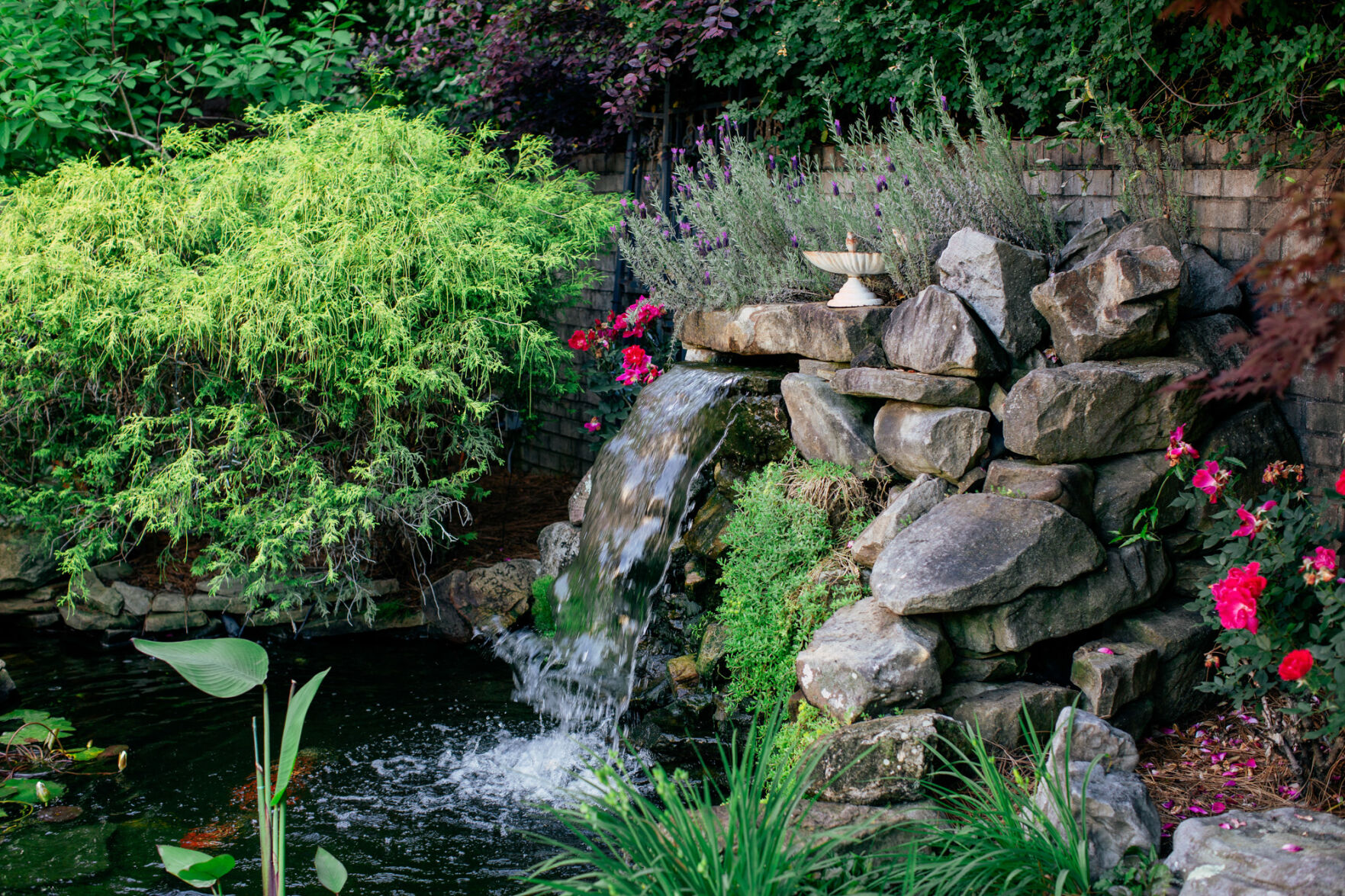Garden-CordiaHarrington_0025.jpg